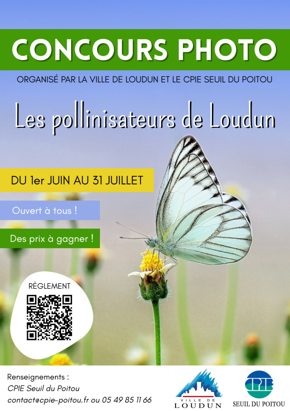 concours photo